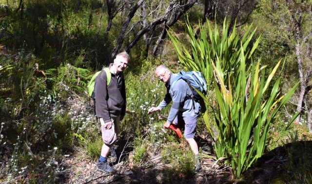 Walumarra Trek