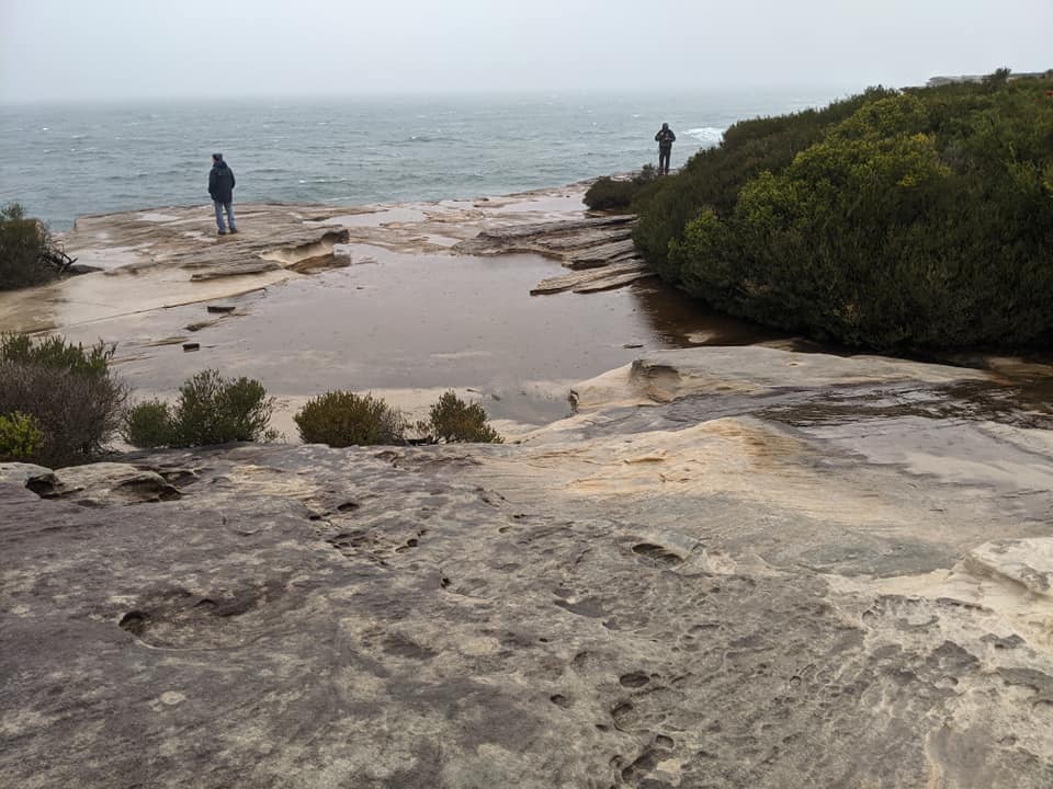 Kurnell Bushwalk