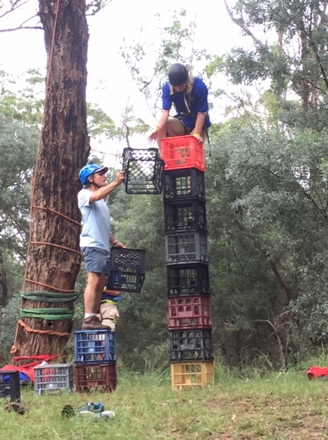 Crate Stacking